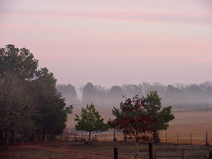This was a wonderful foggy morning.  The picture was taken from our back deck.